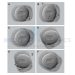 Fellowship in Embryology